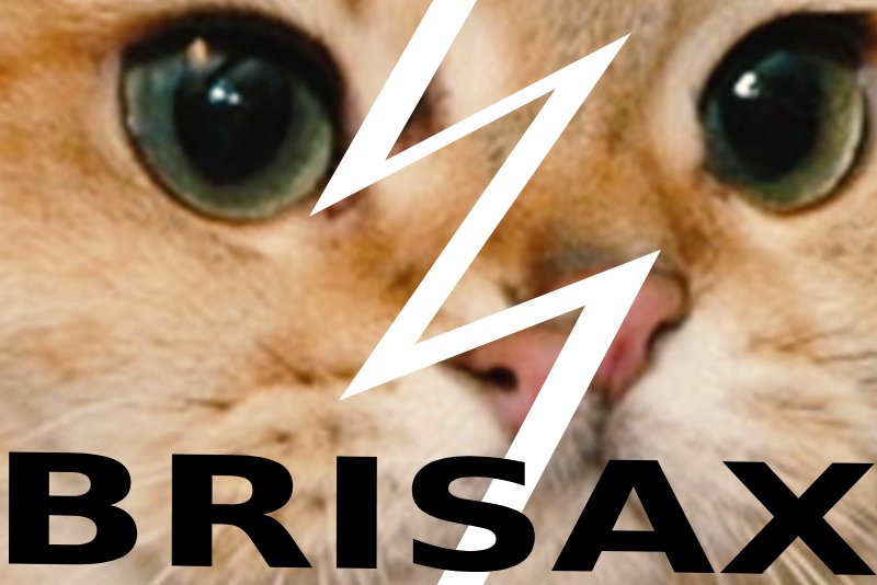 minette brisax brisee brise