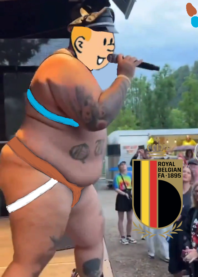 belge fritix belgix france edf tintin