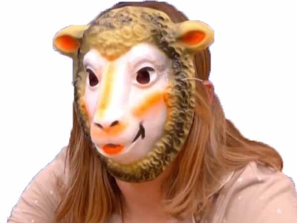 star academy starac staracademy marine mouton masque sheep