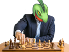 massko-masskodeter-moupe-auteur-op-pokemon-3g-joueur-planifier-chess-echecs-anticiper-mastermind-echec-manipulateur