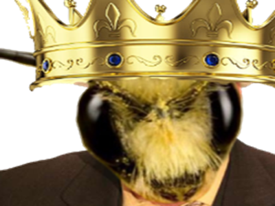Sticker abeille roi king bzzzbzzz king par bzzzbzzz-king