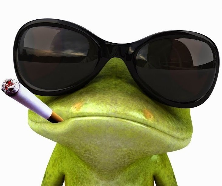 Sticker grenouille cigarette par triso21cm