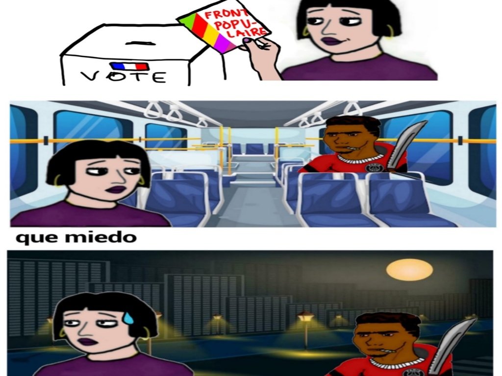 femme blanche vote lfi gauchiste gaucho viol migrant oqtf agression election race traitor karma aw