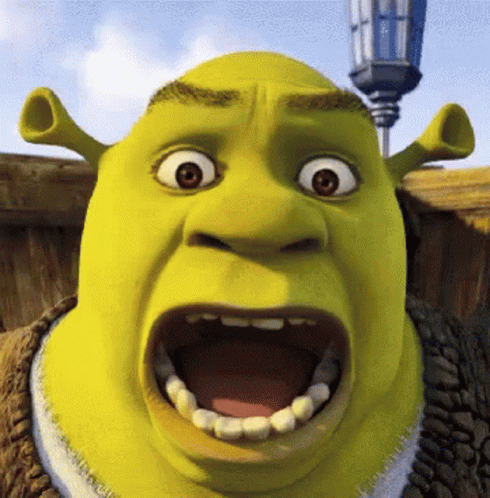 shrek bordel finito hurle panique distorded zinzin autiste
