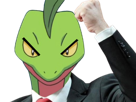 massko-masskodeter-moupe-op-auteur-pokemon-pkm-plante-3g-melenchon-force-fier-deter-poing-leve