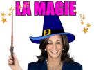 kamala-harris-usa-presidentielle-magie-fraude-40-minutes-balancoire-stop-the-count