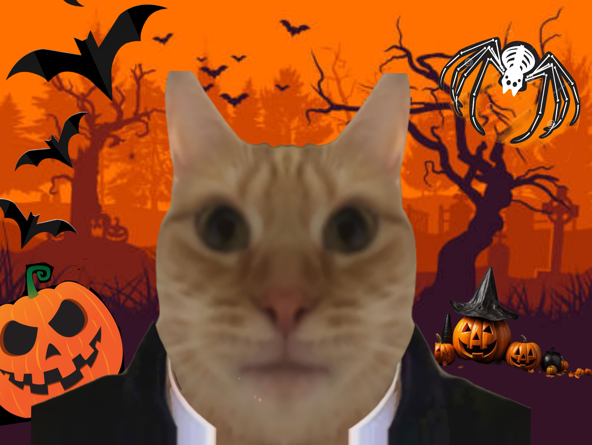 le chat halloween peur citrouille chauve-souris sorciere araignee novembre nuit cimetiere le_chat_du_fofo