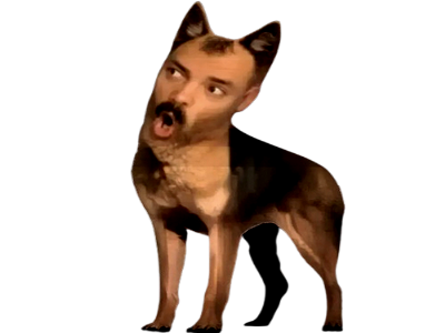 nn24 2024 loup garou wolf tete 2 ouf no nut november chien