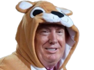 trump-peanut-the-squirrel-ecureuil-deguisement-costume-usa-amerique-merica-murica