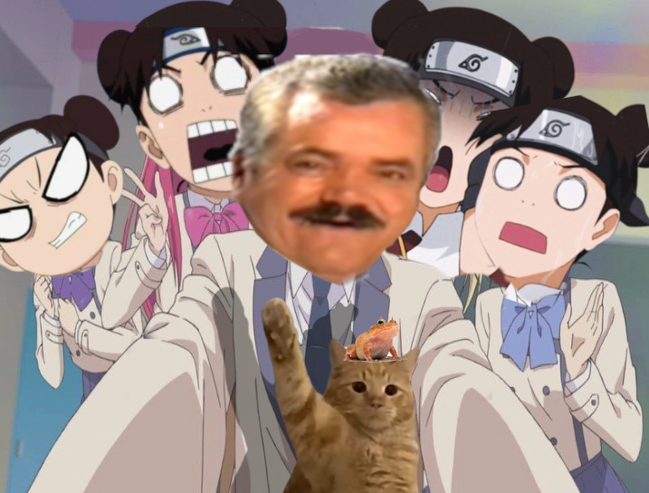 tenten risitas hambourger fic chat kek grenouille