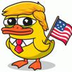 pepe-trump-president-canard-donald-duck-victoire-elections-vance-2024-usa-etats-unis