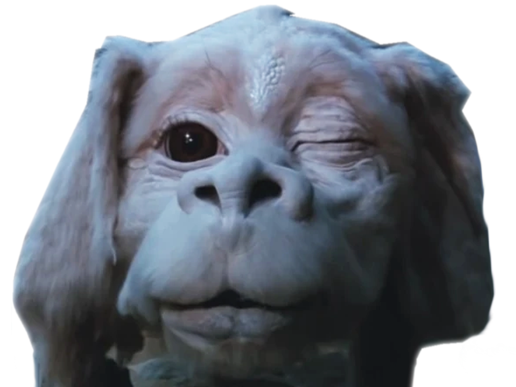 histoiresansfin falkor wink clindoeil