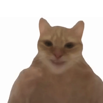 dreamer water chicken poulet eau chat