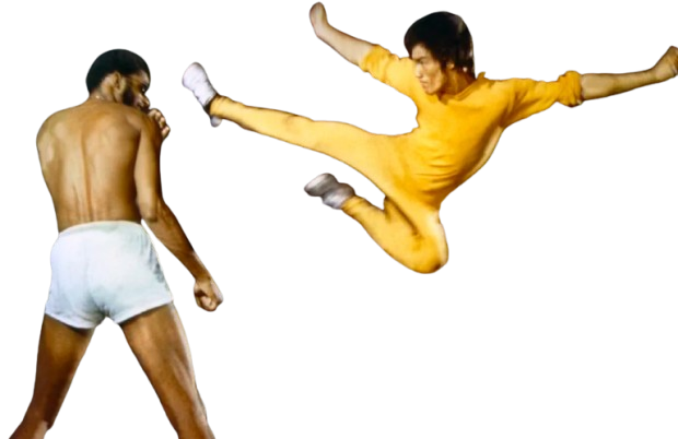 jetetue tumeveuxquoi bruce lee aquoibon lavieestuneboucherie jesaispas
