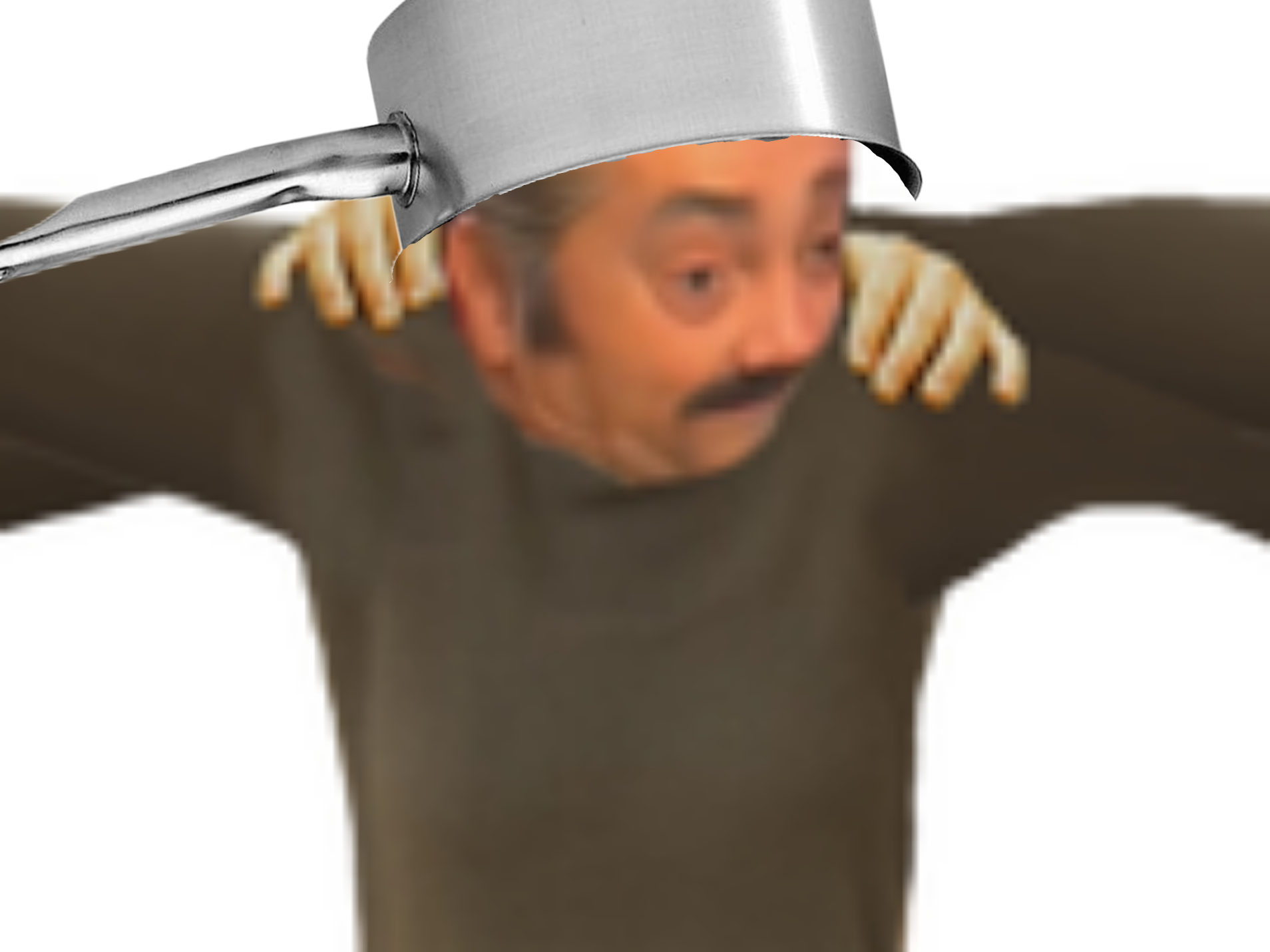 zinzins copains golem gris nnn 2024 novembre