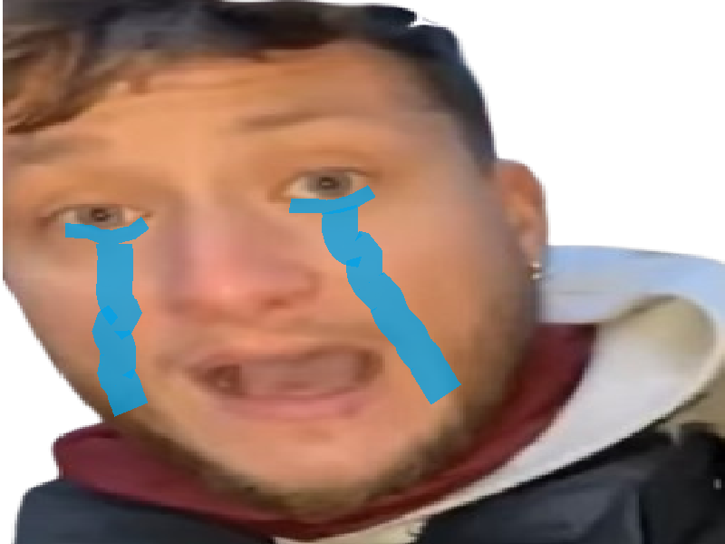 raphael arnault depute france insoumise pleure larme triste agresseur personne agee connard merde