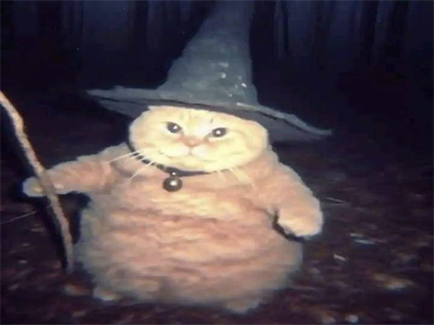 chat mage noir wizard cat pill