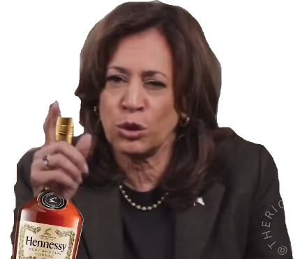 kamala harris bouree usa woke bourre democrate