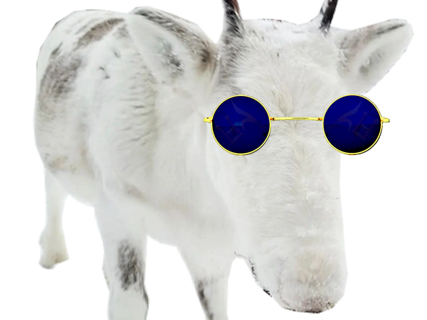 renne lunettes not ready golem