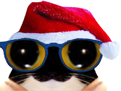 chat mignon noel lunettes