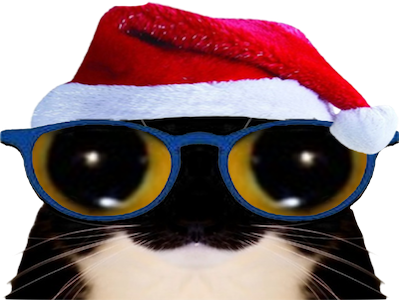 chat mignon noel bonnet lunettes