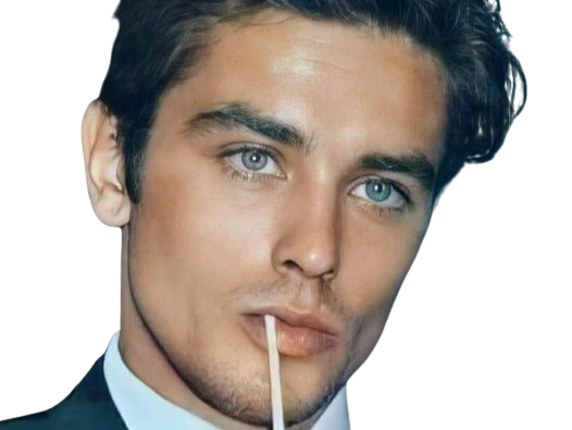 alain delon giga ultra chad beau gosse 10 regard defi