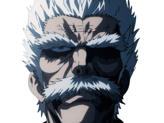silver fang bang heros one punch man opm vieux anime manga art martiaux maitre badass