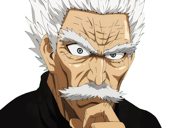 silver fang bang heros one punch man opm vieux anime manga art martiaux maitre badass