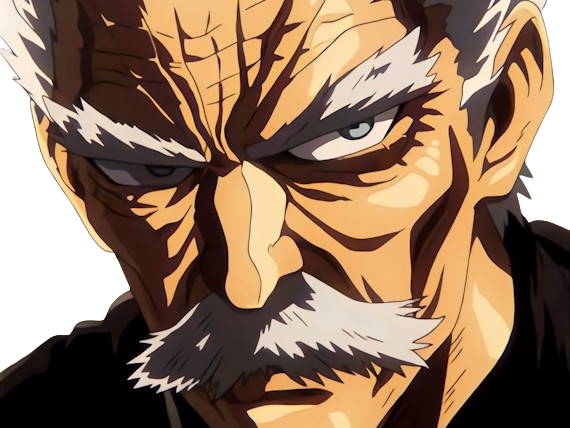 silver fang bang heros one punch man opm vieux anime manga art martiaux maitre badass