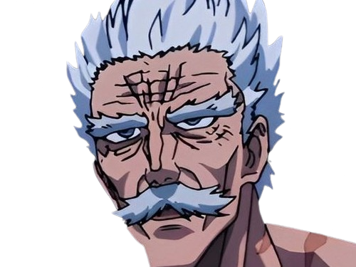 silver fang bang heros one punch man opm vieux anime manga art martiaux maitre badass