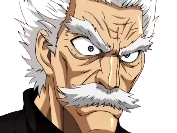 silver fang bang heros one punch man opm vieux anime manga art martiaux maitre badass