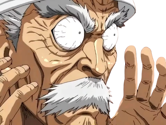 silver fang bang heros one punch man opm vieux anime manga art martiaux maitre badass