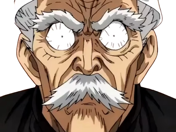 silver fang bang heros one punch man opm vieux anime manga art martiaux maitre badass