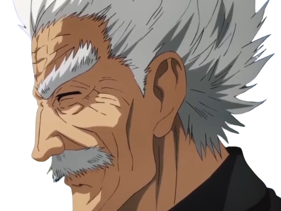 silver fang bang heros one punch man opm vieux anime manga art martiaux maitre badass