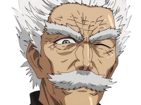 silver fang bang heros one punch man opm vieux anime manga art martiaux maitre badass