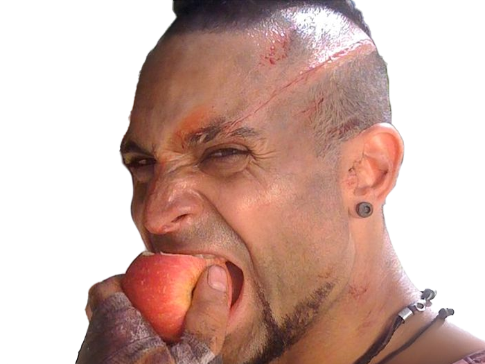 vaas montenegro far cry jeu video homme fou pirate trafiquant humain michael mando acteur canadien