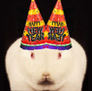 lapin-athee