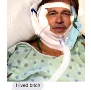 brad pitt brouteur scam arnaque low qi femme meuf fille 800k africain noir acteur usa