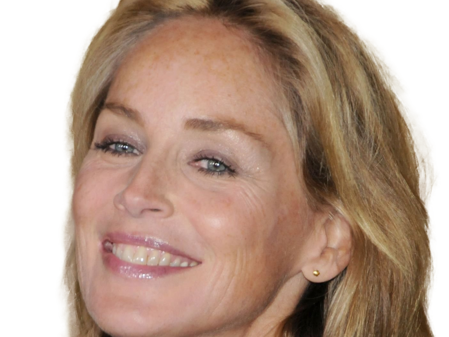 sharon yvonne stone actrice americaine productrice mannequin cinema 2010s blonde femme mature
