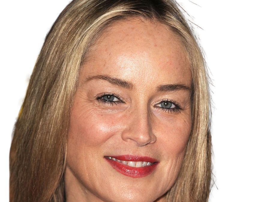 sharon yvonne stone actrice americaine productrice mannequin cinema 2010s blonde femme mature