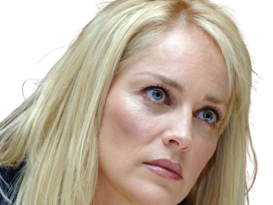 sharon yvonne stone actrice americaine productrice mannequin cinema 2010s blonde femme mature
