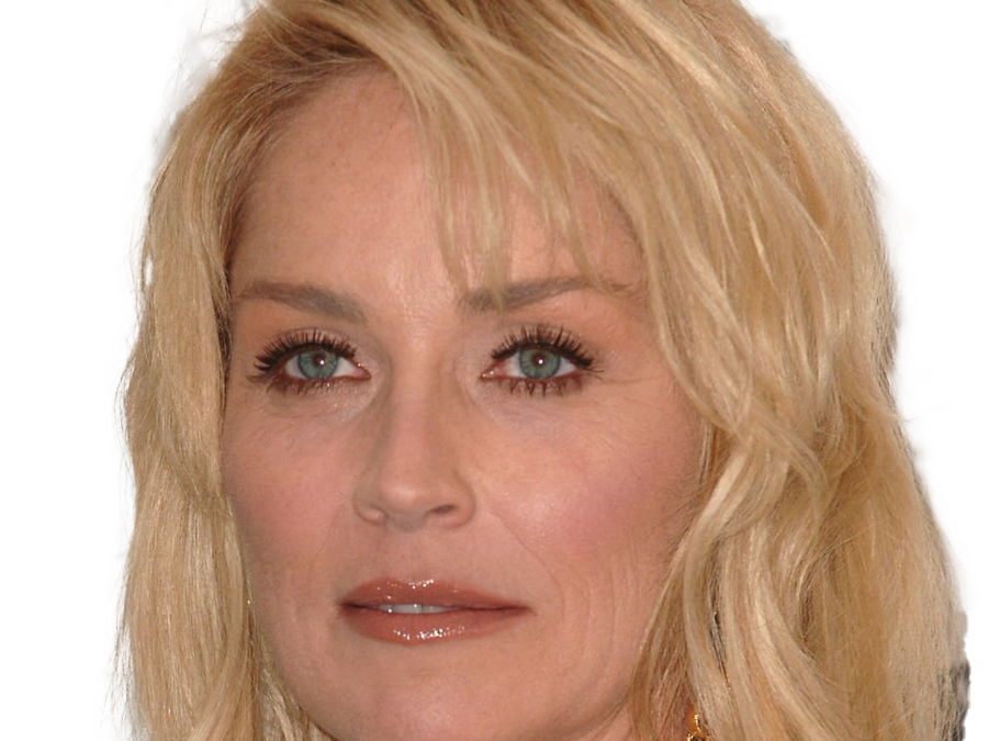 sharon yvonne stone actrice americaine productrice mannequin cinema 2010s blonde femme mature