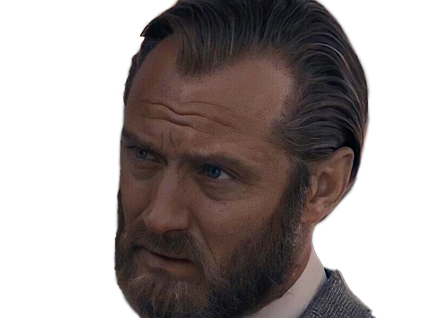 albus perceval wulfric brian dumbledore jeune harry potter hp animaux fantastique sorcier professeur jude law