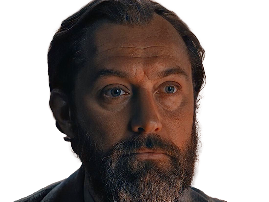 albus perceval wulfric brian dumbledore jeune harry potter hp animaux fantastique sorcier professeur jude law