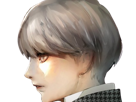 yu-narukami-protagoniste-leader-eleve-equipe-investigation-persona-4-golden-anime-manga-jeu-jrpg-garcon