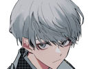 yu-narukami-protagoniste-leader-eleve-equipe-investigation-persona-4-golden-anime-manga-jeu-jrpg-garcon
