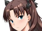 rin-tohsaka-fatestay-fate-stay-night-master-jeu-manga-anime-ln-waifu-femme-brune