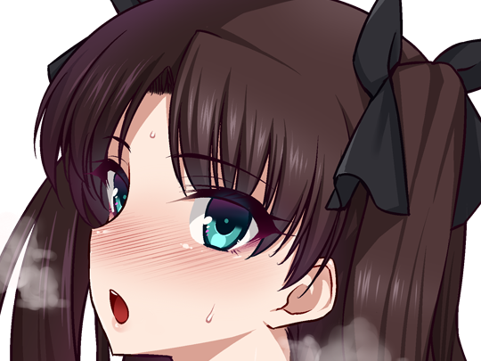 rin tohsaka fatestay fate stay night master jeu manga anime ln waifu femme brune