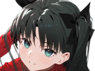 rin-tohsaka-fatestay-fate-stay-night-master-jeu-manga-anime-ln-waifu-femme-brune