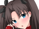 rin-tohsaka-fatestay-fate-stay-night-master-jeu-manga-anime-ln-waifu-femme-brune